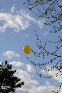 Arty 'balloon-in-a-tree' shot