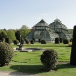 Schönbrunn palm house