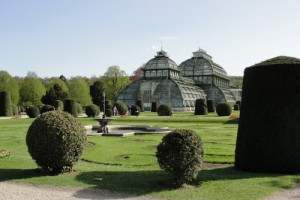 Schönbrunn palm house